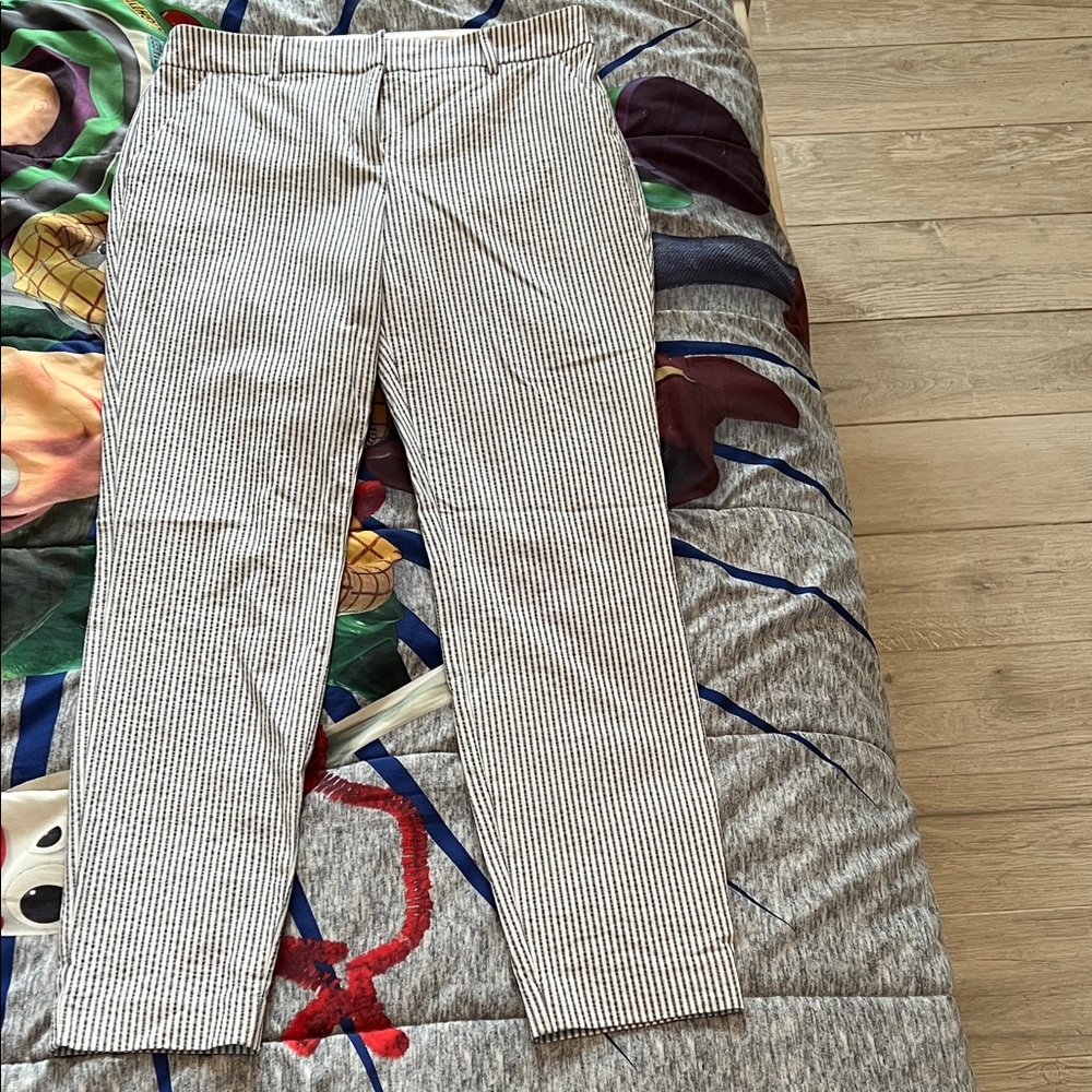Express columnist Black and White Striped Skinny Pants- seersucker